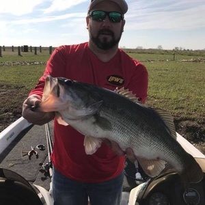 Meet your Posher, Kasey